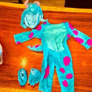 Monsters Inc Sully Costume